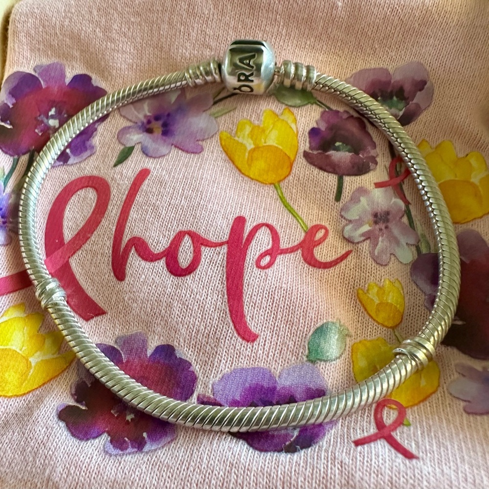 Pandora Silver Charm Bracelet